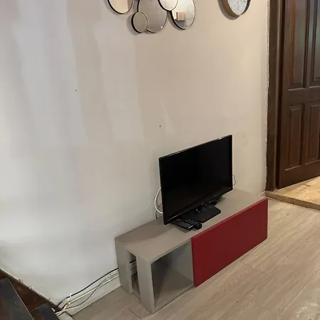 Fir Tree Agnibay Apartment