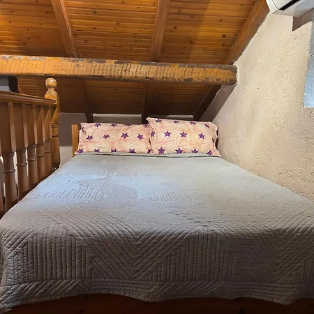 Fir Tree Agnibay Apartment *
