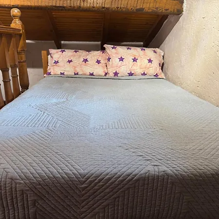 Fir Tree Agnibay Kentroma